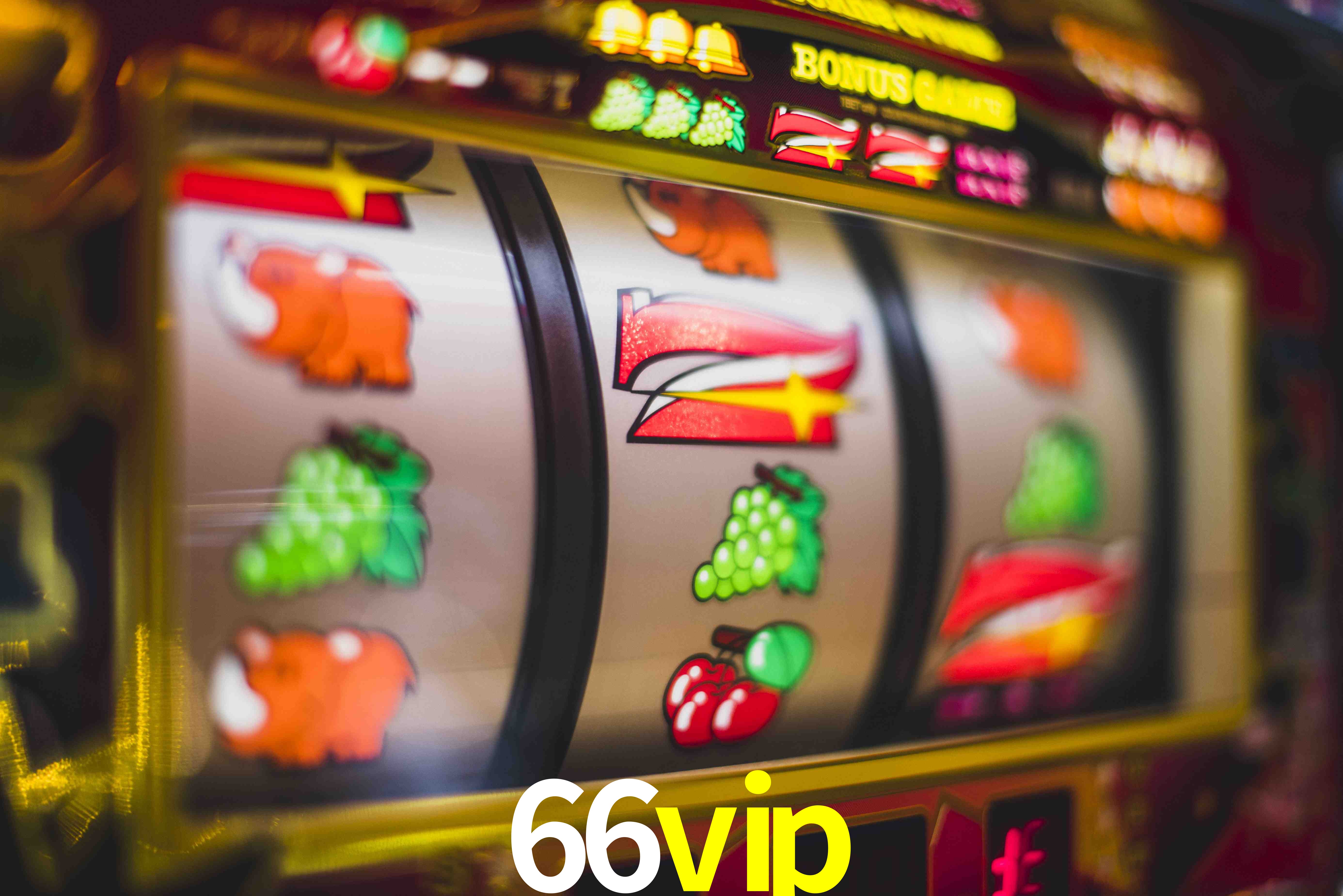 Basketball Betting 66vip